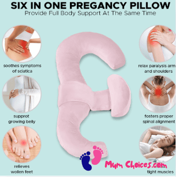 schnauzer pregnancy pillow for sleeping